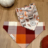 Pumpkin Spice Reversible Collar Bandana