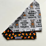 Tricks for Treats Reversible Collar Bandana