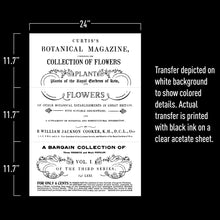 Load image into Gallery viewer, Botanical Magazine - Transfers
