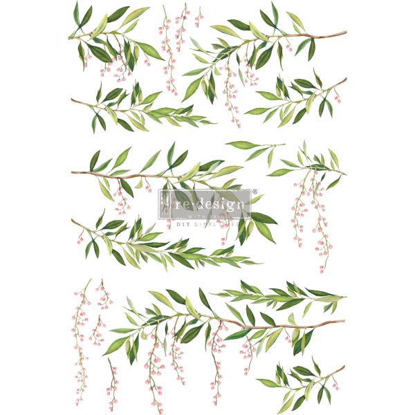 Spring Branch - Transfers