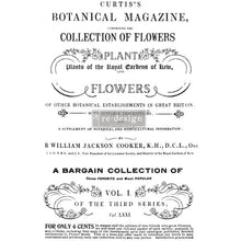 Load image into Gallery viewer, Botanical Magazine - Transfers
