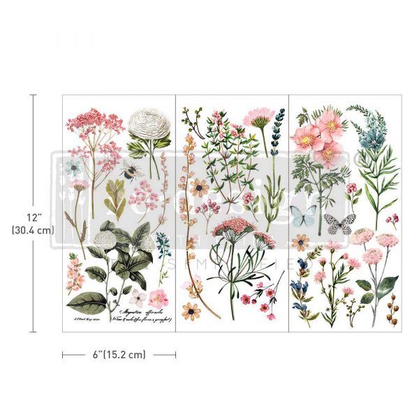 Botanical Paradise - Transfers