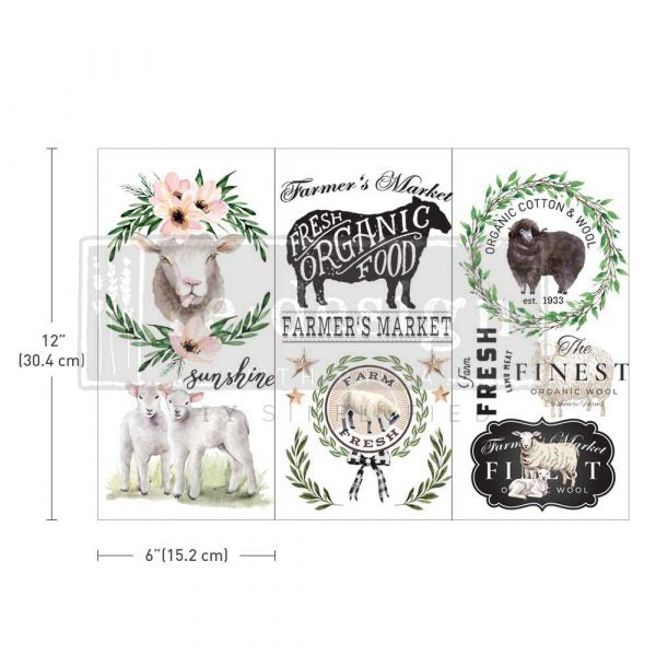 Sweet Lamb - Transfers