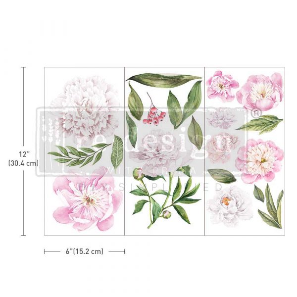 Morning Peonies - Transfers