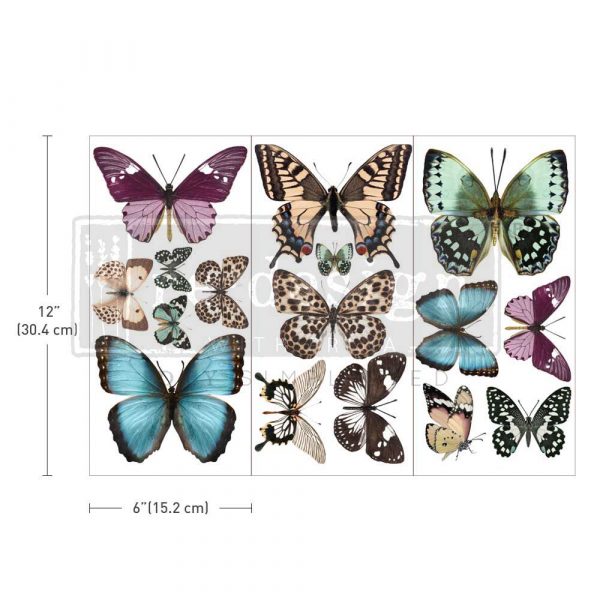 Butterfly - Transfers