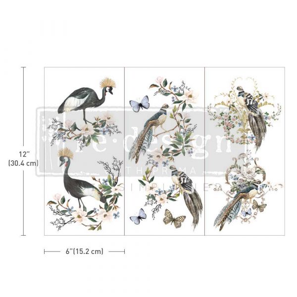Rare Birds - Transfers
