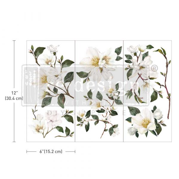 White Magnolia - Transfers
