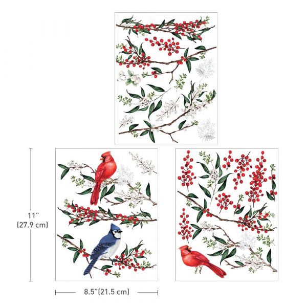 Winterberry - Transfers