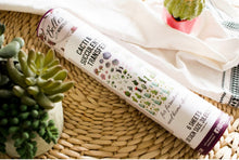 Load image into Gallery viewer, Cacti &amp; Succulents Transfer - Dixie Belle Paint Company
