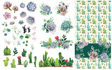 Load image into Gallery viewer, Cacti &amp; Succulents Transfer - Dixie Belle Paint Company

