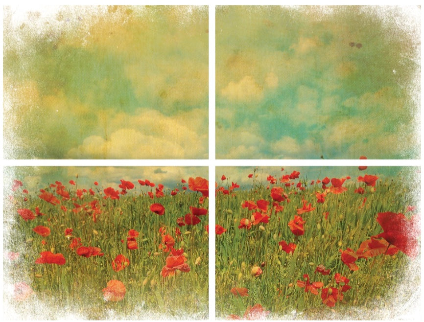 Field of Flowers Transfer - Dixie Belle Paint Company