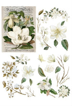 Load image into Gallery viewer, Magnolia Garden Transfer - Dixie Belle Paint Company
