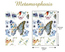 Load image into Gallery viewer, Metamorphosis
