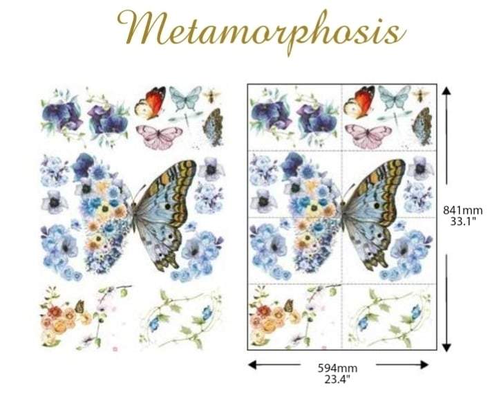 Metamorphosis