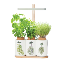 Load image into Gallery viewer, My Kitchen Rules Hokus Pokus Image Transfer
