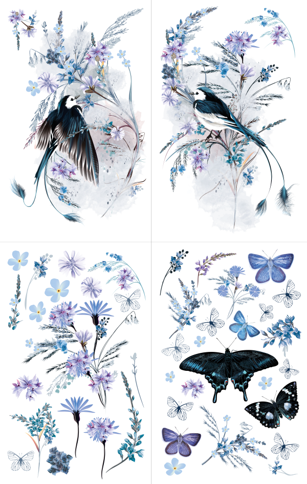 Oiseau Blue Hokus Pokus Image Transfer