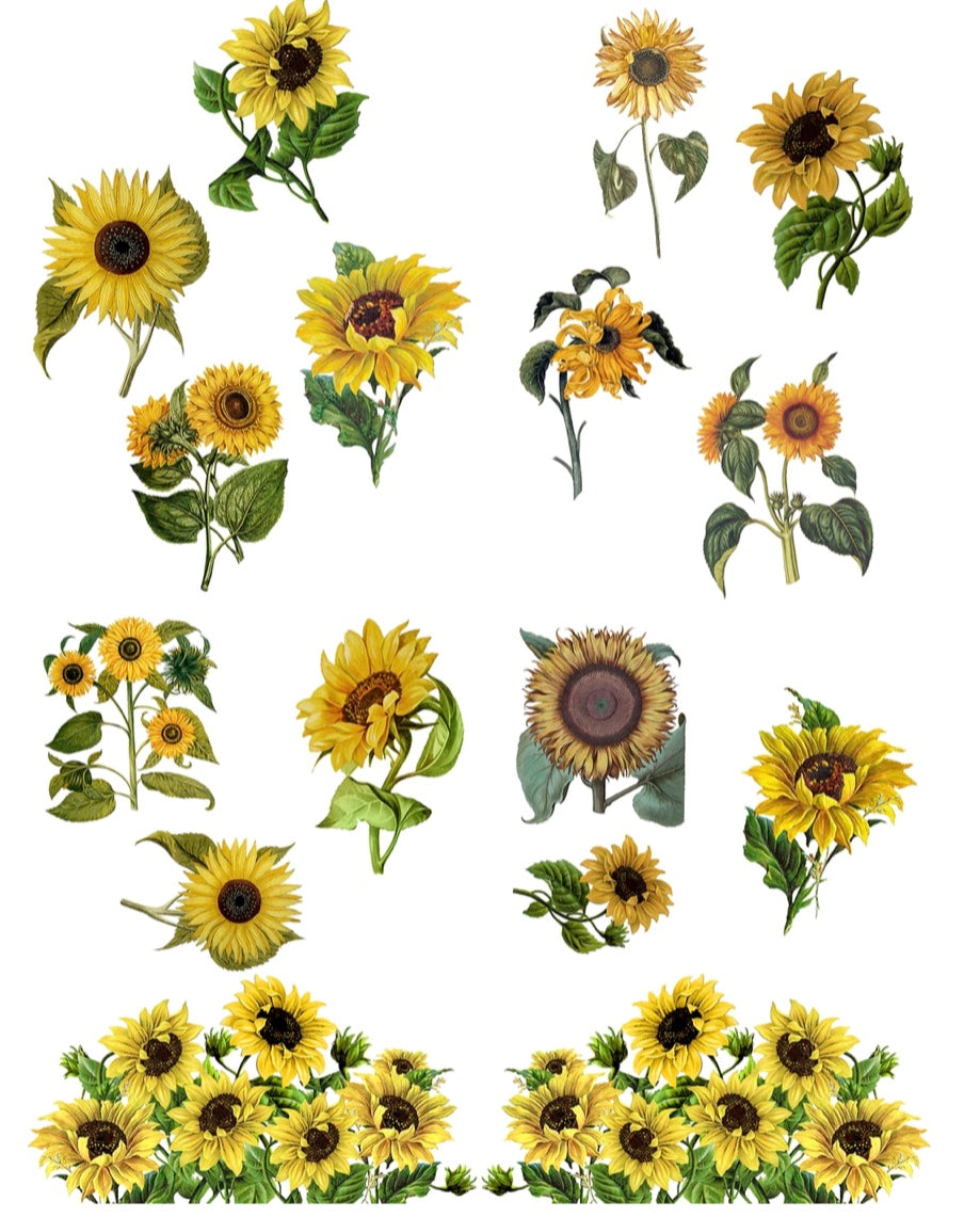 Sunflowers Transfer - Dixie Belle Paint Company
