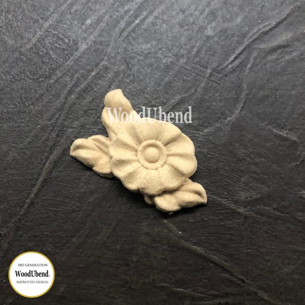 Flower - 1437