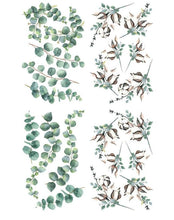 Load image into Gallery viewer, Cotton and Eucalyptus Transfer - Dixie Belle Paint Company

