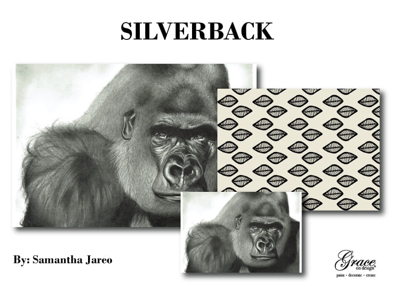 Silver Back