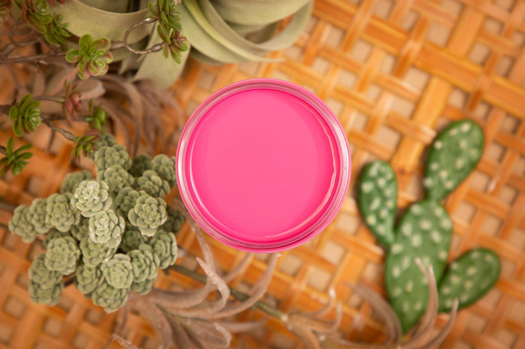 Prickly Pear - Silk Collection - Dixie Belle Paint Company